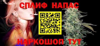 прущие грибы Севастополь